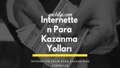 Internetten Para Kazanma Yollari 1