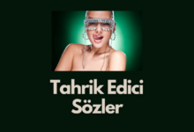 Tahrik Edici Sozler