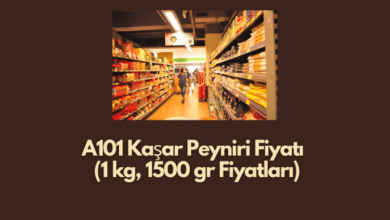 A101 Kasar Peyniri Fiyati