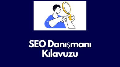 SEO Danışmanı Kılavuzu