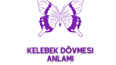 Kelebek Dövmesi Anlamı