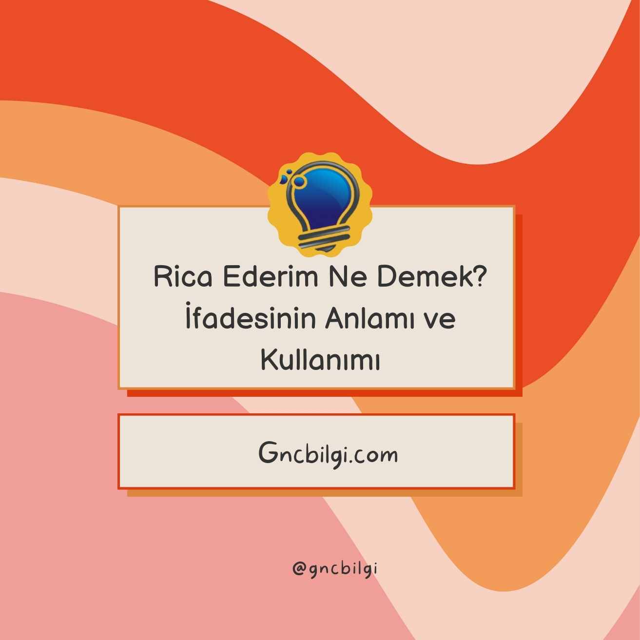 Rica Ederim Ne Demek İfadesinin Anlamı ve Kullanımı Gncbilgi