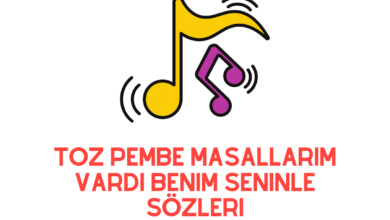 Toz Pembe Masallarım Vardı Benim Seninle Sözleri