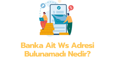 Banka Ait Ws Adresi Bulunamadi Nedir