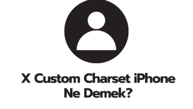 X Custom Charset iPhone Ne Demek