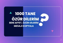 1000 Tane ozur Dilerim Yazisi