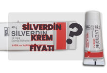 Silverdin Krem Fiyati